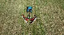 Power_Rake-DJI_0822.webp