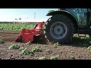youtube - [Video]